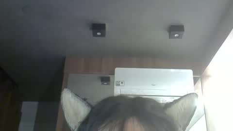 skinnykittencam online show from February 28, 3:32 am