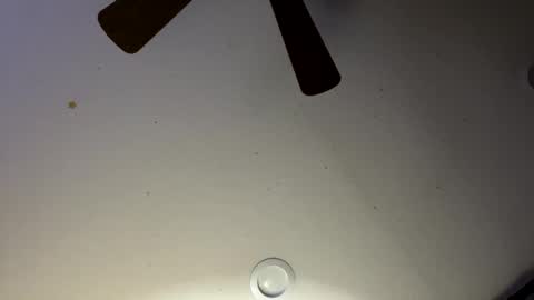 Slickdog online show from January 30, 6:03 am