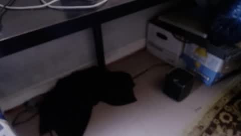 sliderguy699 online show from April 9, 10:48 pm