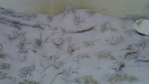 slim_girl3 online show from February 24, 7:00 am