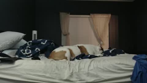 slimjp online show from February 7, 2:25 am