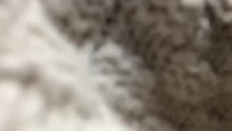 sluttysubbyslav online show from December 17, 3:13 am