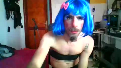 willy online show from December 15, 10:55 am