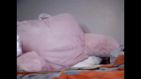 SmolHungGothWitch online show from February 4, 9:28 am