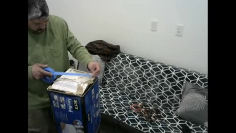 Snapshot of snizniz chatting on February 11, 6:30 am snizniz online show from February 11, 6:30 am