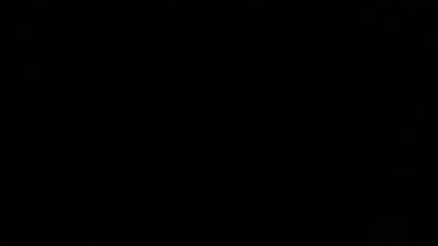 snkr1244 online show from November 10, 4:26 am