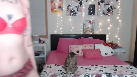 snow_money online show from March 6, 4:19 am