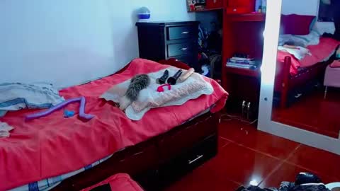 sophia_greey online show from April 23, 7:05 am