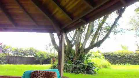 sophiaguzman_ online show from February 26, 5:16 pm