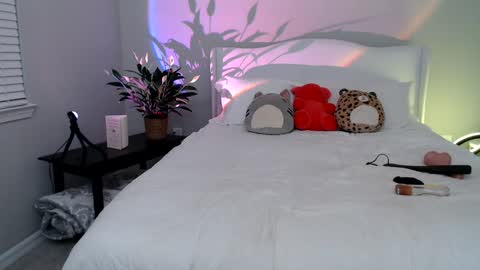 Sophie Star online show from January 7, 12:55 am