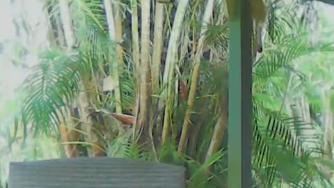 soveryhandsome online show from March 30, 9:59 pm