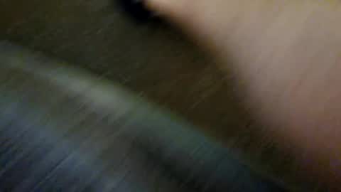 species online show from December 31, 10:15 am