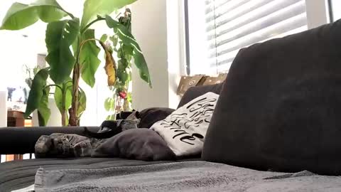 Spritzer669 online show from December 13, 12:28 pm