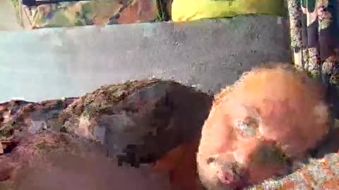Snapshot of srekos38 chatting on October 23, 9:44 am srekos38 online show from October 23, 9:44 am