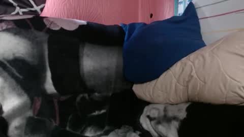 Sinserity online show from April 2, 9:22 pm