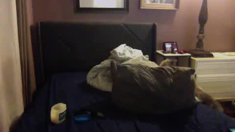 ashtongue online show from December 6, 7:59 am