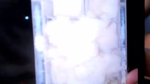 stealth1337 online show from March 2, 2:24 pm