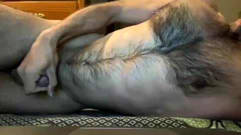 Lobo del Antiguo Oriente online show from April 2, 5:26 am