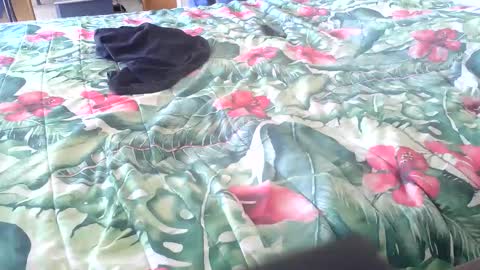 Rocco-load online show from October 1, 11:31 am