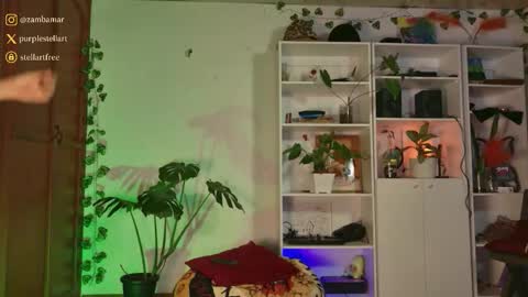 stellart_ online show from December 3, 2:12 am