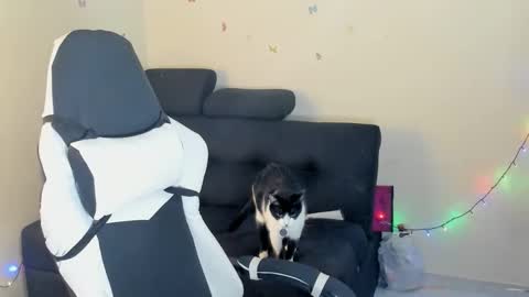 Stephany  independient model  online show from March 10, 12:04 am