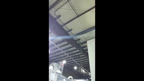 stiffcock4269 online show from April 17, 3:31 am