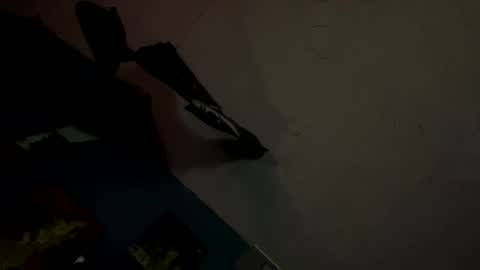 Snapshot of stonedbj chatting on September 27, 6:33 am StonedBJ online show from September 27, 6:33 am