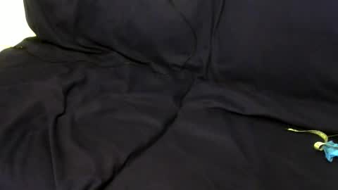 straightboytoy713851 online show from January 15, 10:40 pm