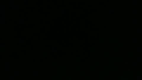 strangerdanger_2 online show from April 25, 1:41 pm