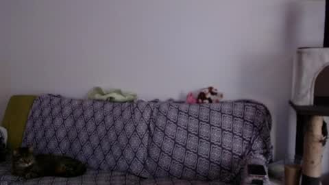 Strawberrylotsacake online show from April 15, 12:08 pm