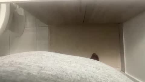 Let me be your knight that saves you online show from October 7, 9:11 pm