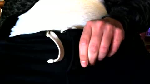 superstuntman1 online show from February 10, 7:36 am