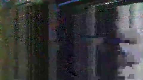 Snapshot of swaggdaddy93 chatting on October 9, 11:37 am Playboy online show from October 9, 11:37 am