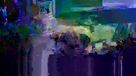 Snapshot of swaggdaddy93 chatting on October 25, 7:40 am Playboy online show from October 25, 7:40 am