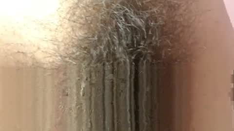 Barbara online show from April 13, 12:04 am