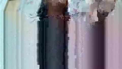 Kristel online show from March 8, 8:02 pm