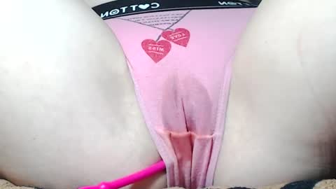 Kitten online show from June 25, 8:19 am