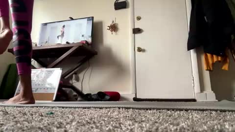 YoshiFit online show from March 6, 3:55 pm