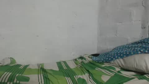 Camilo online show from April 9, 11:16 am