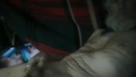 sweetpussylicks online show from April 26, 10:24 am