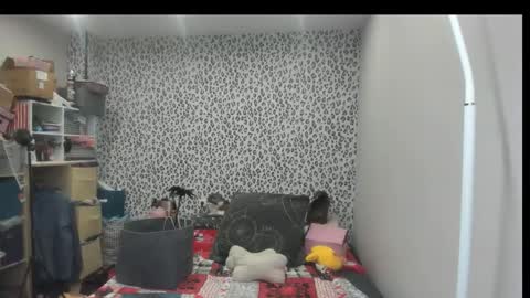switchlorenx online show from May 4, 2:12 pm