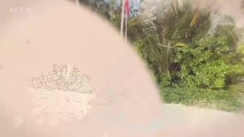 TAANNI online show from April 21, 2:51 am