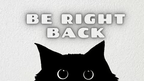 Rousaly online show from February 4, 11:36 am