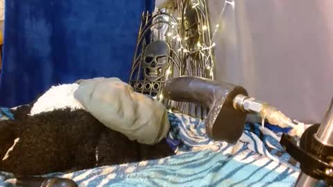 Katty badbitch online show from November 27, 9:11 pm