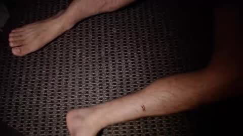 tayvar online show from November 27, 12:24 pm