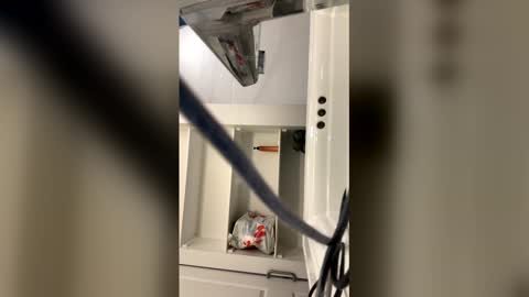 tazhardaway3435 online show from February 5, 7:34 am