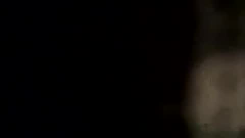 Twizzler online show from December 17, 3:46 am