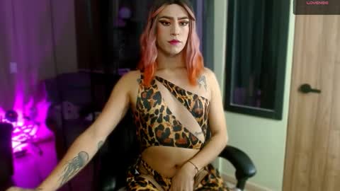 teven online show from November 15, 12:23 am