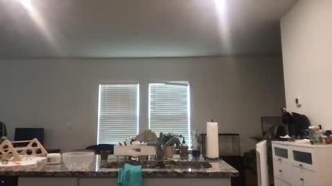 Daphne Summers online show from May 22, 2:57 pm