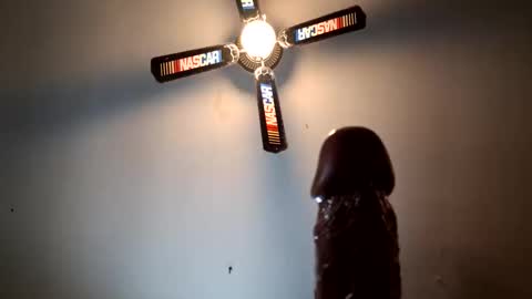 sleinads place online show from March 3, 5:42 pm